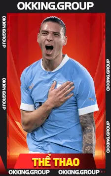 thể thao okking